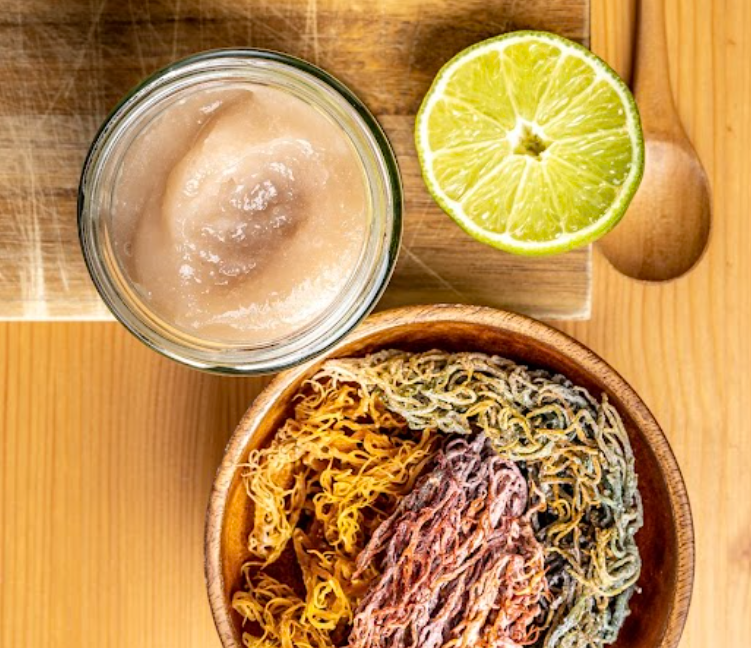 (5 Pack) Island Breeze | Premium Sea Moss | Wildcrafted Full Blend Sea Moss Gel | 300 ml