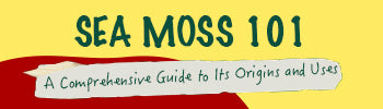 Sea Moss 101: A Comprehensive Guide to Its Origins and Uses