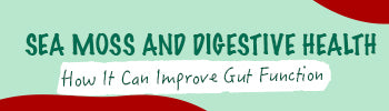 Sea Moss and Digestive Health: How It Can Improve Gut Function